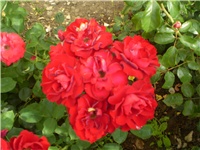 688cb8d9-Picture 304.jpg